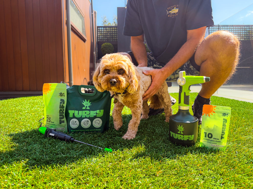 Turfy probiotic artificial grass cleaner with enzymes and bacteria for efficient fake grass cleaning. Man is holding dog next to Turfy probiotic products to show it is pet safe and to remove dog urine.