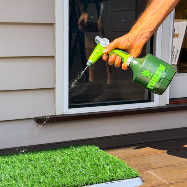 Using the Turfy 1L electric sprayer to easily treat a small area of artificial turf with probiotic cleaner in a backyard.