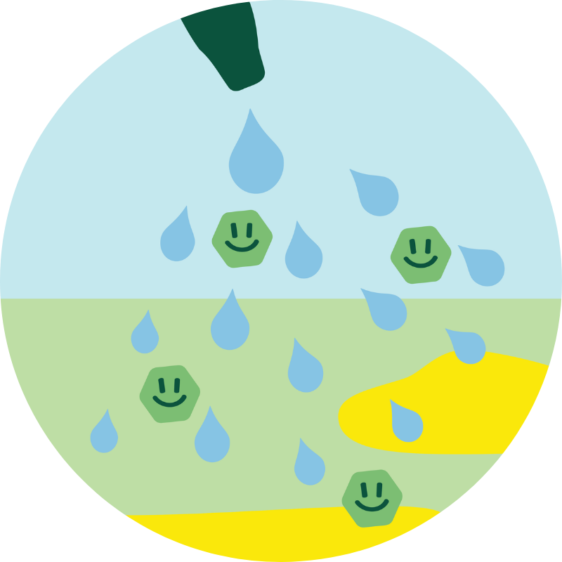 Turfy probiotic solution spray showing enzymes and bacteria eliminating dog or pet urine from fake grass